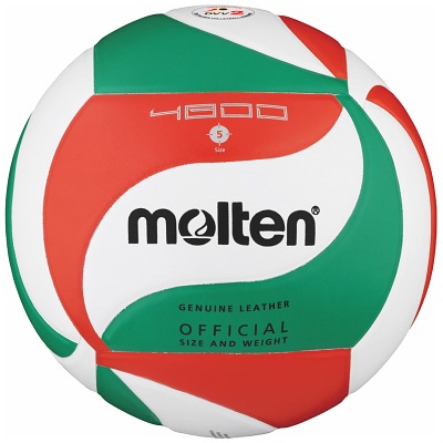 Molten Volleybal “V5M4800”