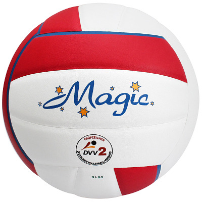 Sport-Thieme Volleybal “Magic”