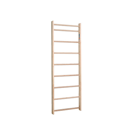 Sport-Thieme Wandrek "Original", HxB: 230x80 cm, 9 sporten, Reeds gemonteerd