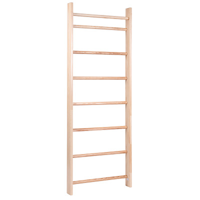 Sport-Thieme Wandrek "Original", HxB: 210x80 cm, 8 sporten, Reeds gemonteerd
