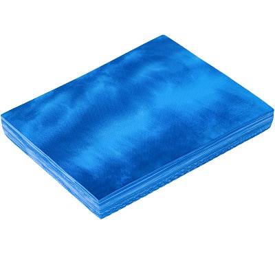 Sport-Thieme Balance Pad Premium, Blauw