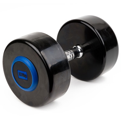 Sport-Thieme Compacte halter 'PU', 27,5 kg