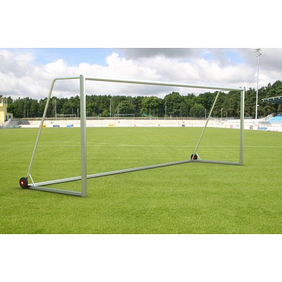 Sport-Thieme Grootveld-Voetbaldoel "Eco