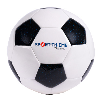 Sport-Thieme Voetbal "Training", Maat 3
