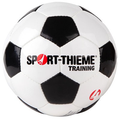 Sport-Thieme Voetbal "Training", Maat 4