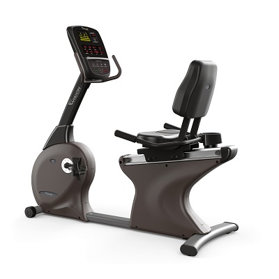 Vision Fitness Ligergometer "R60