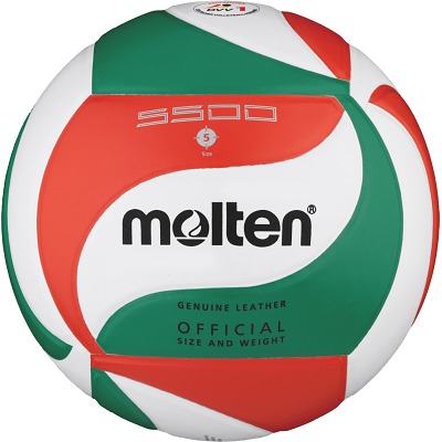 Molten Volleybal “V5M5500”
