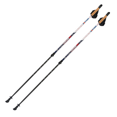 Sport-Thieme Nordic Walking sticks "Lock Up Pro