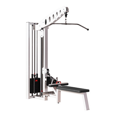 Sport-Thieme Lat pulldown/seated row toestel , Met zwarte geperforeerde lambrisering