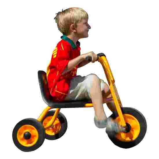 Rabo Tricycles Driewieler &quot;Tricart 2000&quot;