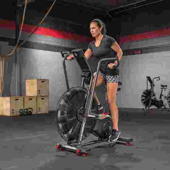 Schwinn Airdyne Bike &quot;AD8&quot;