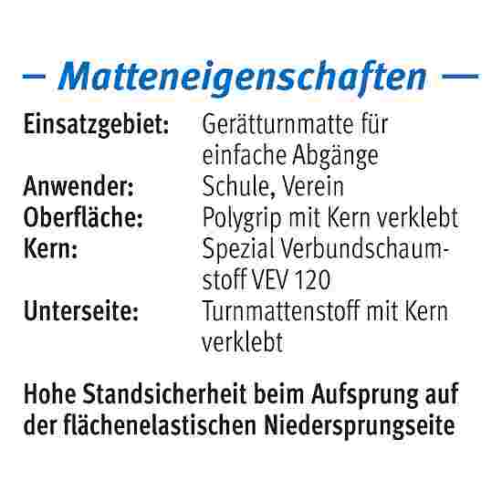 Sport-Thieme Toestel turnmat &quot;GTM 3000&quot; 200x100x6 cm, 17 kg, Blauw