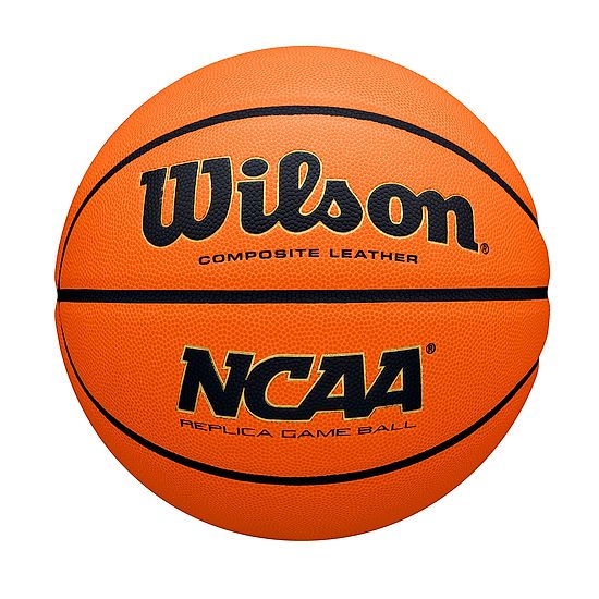 Wilson NBA Team Alliance Basketbal - Sacramento Kings WILSON