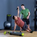 Balanced Body MOTR- More than a roller