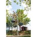 Huck Vogelnestboom