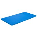 Sport-Thieme Lichte turnmat "Pro light" 200x100x6 cm, Blauw