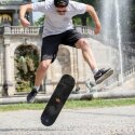 Schildkröt Skateboard "Kicker 31"