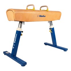 Bänfer Voltigepaard Exclusive" 