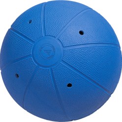 WV-Goalbal