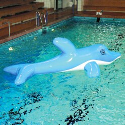 Airkraft® Waterspeelobject "Dolfijn"