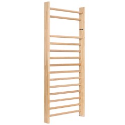 Sport-Thieme Wandrek 230x100 cm