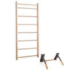 Sport-Thieme Wandrek met pull-up dip-bar