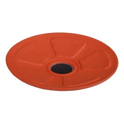 Sport-Thieme® Posture Board/Zit-Tol