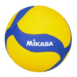 Mikasa Volleybal
 "V800W"