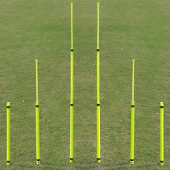 Cougar Teleskop-Slalompalen „Set“